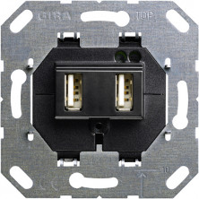Gira Мех роз USB 2-ой А+А черный