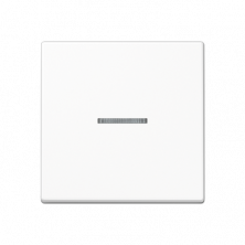 JUNG Клавиша для KNX кнопки, 1 группа, с окошком термопласт белый