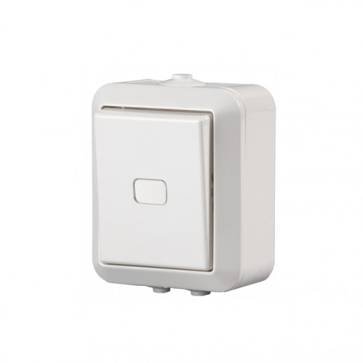 ABB Jussi Бел Переключатель 1-кл, 16А/250В, (схема 6), 2 доп.клеммы, IP44