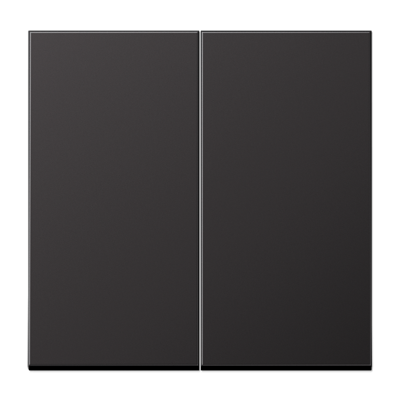 JUNG Центральная плата 2 группы стандарт металл Dark