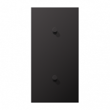 JUNG LS1912 Dark Центральная плата, 2 поста, для вертикальной установки, тумблеры 1+1,конус; метал. исполнение
