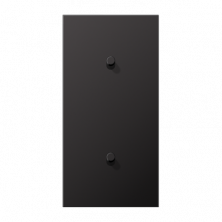 JUNG LS1912 Dark Центральная плата, 2 поста, для вертикальной установки, тумблеры 1+1,цилиндр; метал. исполнение