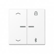 JUNG A Flow/A 550 Белый матовый Таймер универсальный Bluetooth «стрелки»