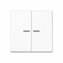 JUNG Клавиша для KNX кнопки, 2 группы, с окошком термопласт белый