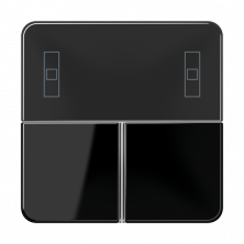 JUNG Накладка для Room controller