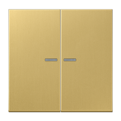 JUNG Клавиша для KNX кнопки, 2 группы, с окошком металл латунь Classic