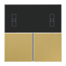 JUNG крышка для Room Controller, латунь Classic