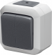 ABB Variant+ Серый Переключатель двухклавишный, ABB Variant+ IP54 серый, IP54