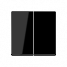 JUNG Центральная плата 2 группы стандарт дуропласт черный