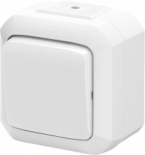 ABB Variant+ Белый Переключатель одноклавишный, IP54