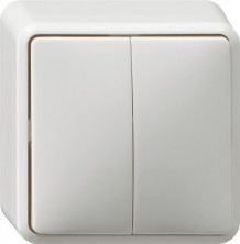 Gira Бел Выключатель двуклавишный 10А IP20