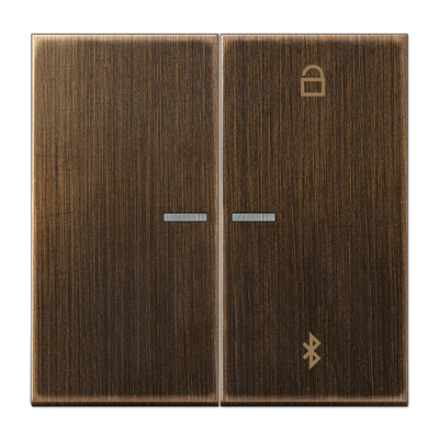 JUNG Таймер универсальный Bluetooth, латунь Antik