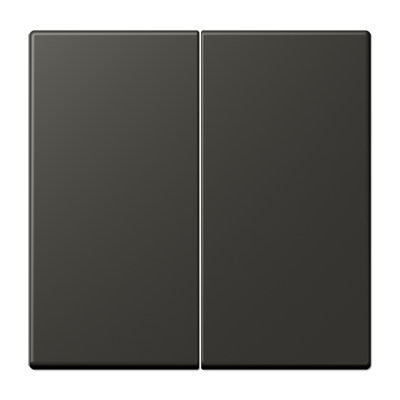 JUNG LS 990 Ombre naturelle 59(4320R) Клавиша 2-ая