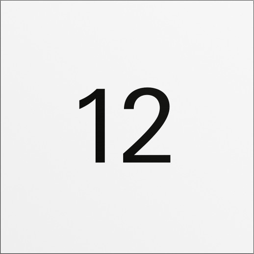 Gira Информационный модуль System 106